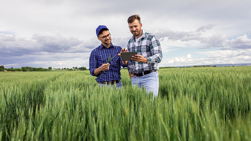 agriculture holding in EEU