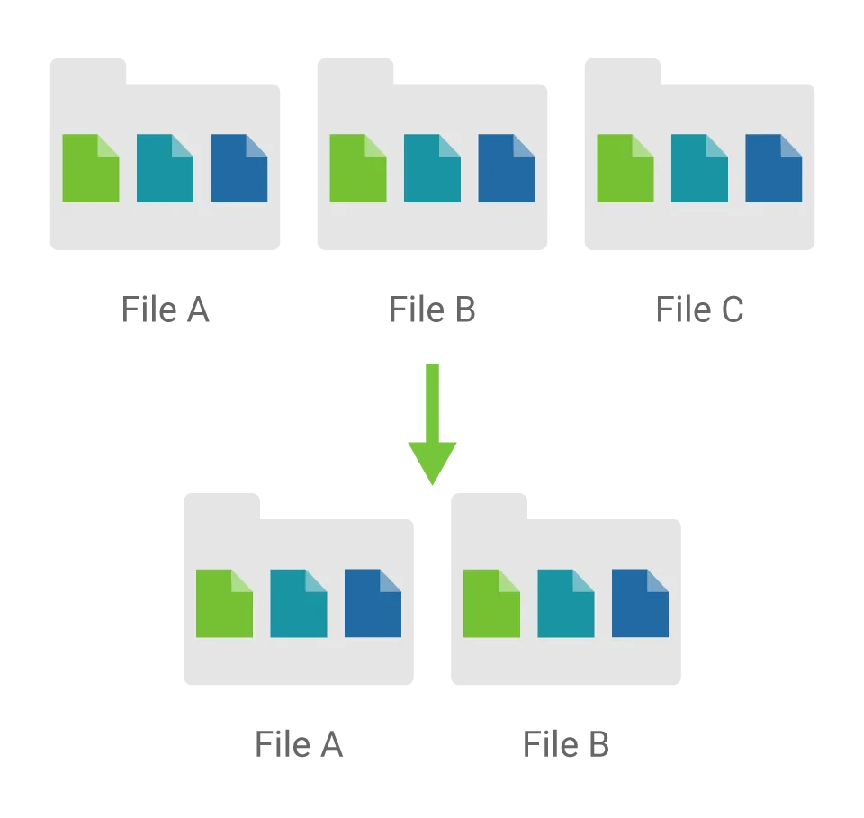 QSM Deduplication File Level